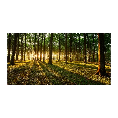 Cuadro decorativo de vidrio para salón horizontal Rayos de sol