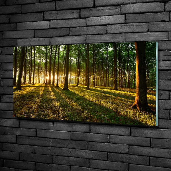 Foto obraz szklany Promienie słońca