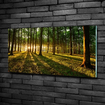 Cuadro decorativo de vidrio para salón horizontal Rayos de sol