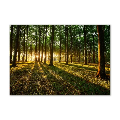 Cuadro decorativo de vidrio para salón horizontal Rayos de sol