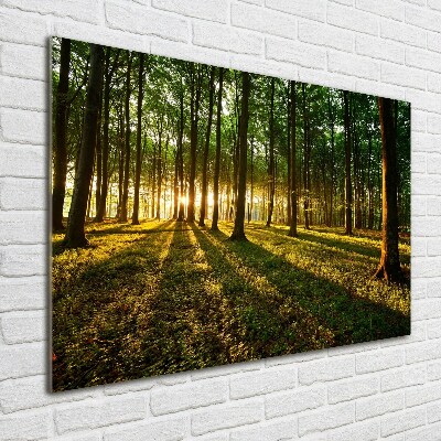 Cuadro decorativo de vidrio para salón horizontal Rayos de sol