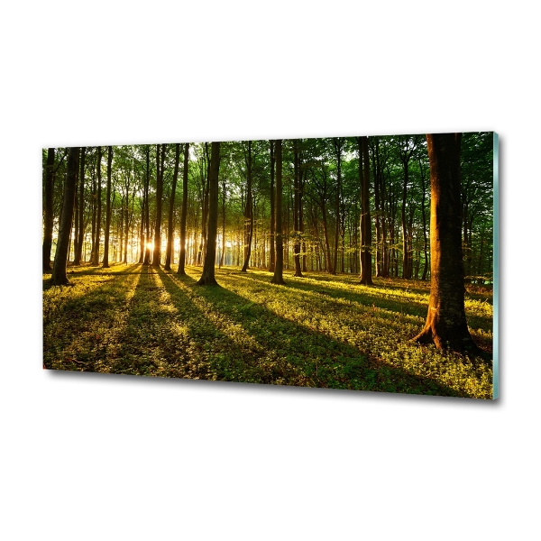 Cuadro decorativo de vidrio para salón horizontal Rayos de sol