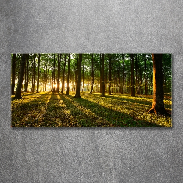 Cuadro decorativo de vidrio para salón horizontal Rayos de sol