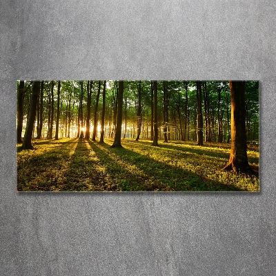 Cuadro decorativo de vidrio para salón horizontal Rayos de sol