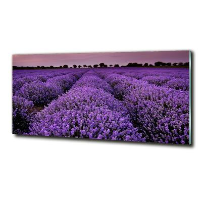 Cuadro decorativo de vidrio para salón horizontal campo de lavanda