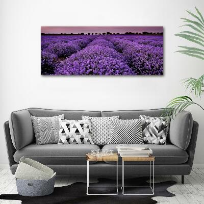 Cuadro decorativo de vidrio para salón horizontal campo de lavanda