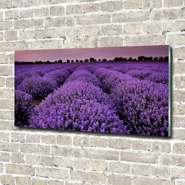 Cuadro decorativo de vidrio para salón horizontal campo de lavanda
