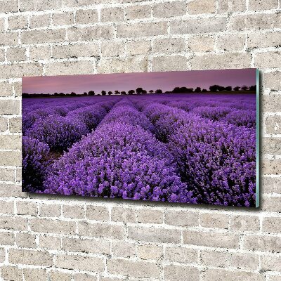 Cuadro decorativo de vidrio para salón horizontal campo de lavanda