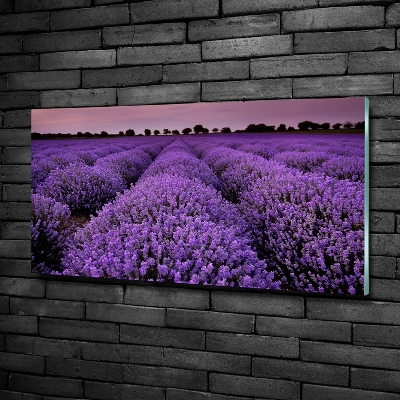 Cuadro decorativo de vidrio para salón horizontal campo de lavanda