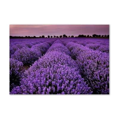 Cuadro decorativo de vidrio para salón horizontal campo de lavanda
