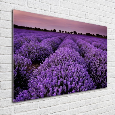 Cuadro decorativo de vidrio para salón horizontal campo de lavanda