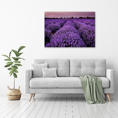 Cuadro decorativo de vidrio para salón horizontal campo de lavanda