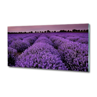 Cuadro decorativo de vidrio para salón horizontal campo de lavanda