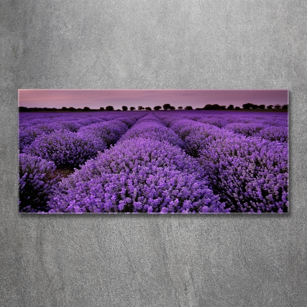 Cuadro decorativo de vidrio para salón horizontal campo de lavanda