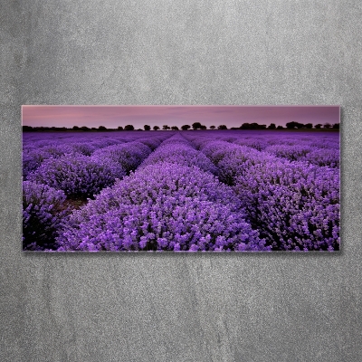 Cuadro decorativo de vidrio para salón horizontal campo de lavanda