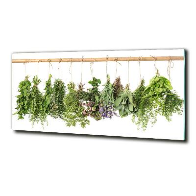 Cuadro decorativo de vidrio para salón horizontal Hierbas en una cuerda