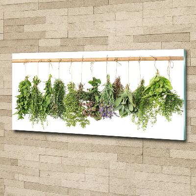 Cuadro decorativo de vidrio para salón horizontal Hierbas en una cuerda