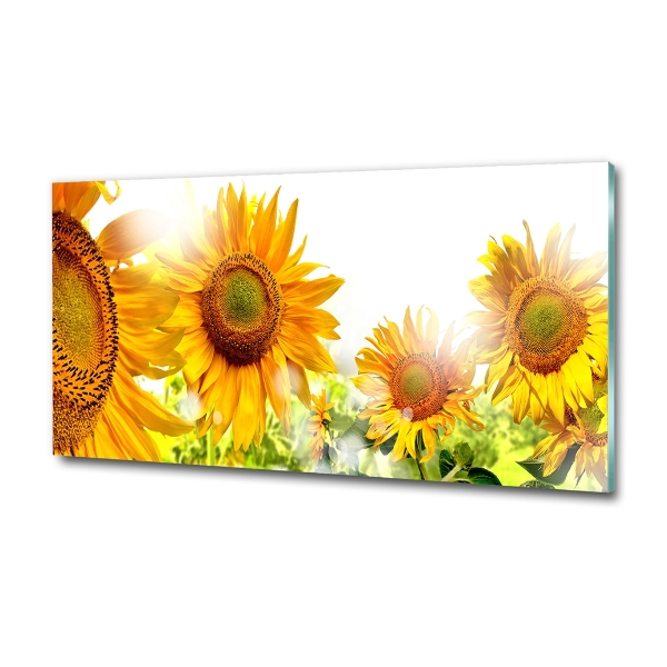 Foto en cristal de alta calidad con impresión uv horizontal Girasoles