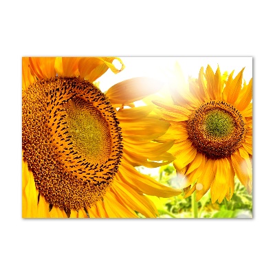Foto en cristal de alta calidad con impresión uv horizontal Girasoles