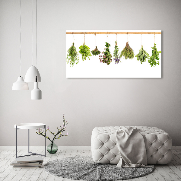 Cuadro decorativo de vidrio para salón horizontal Hierbas en una cuerda