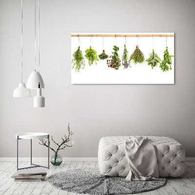 Cuadro decorativo de vidrio para salón horizontal Hierbas en una cuerda