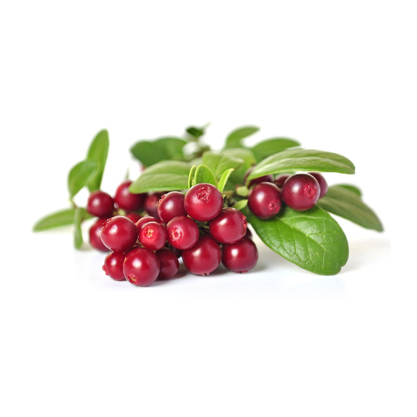 Foto en cristal de alta calidad con impresión uv horizontal Airela