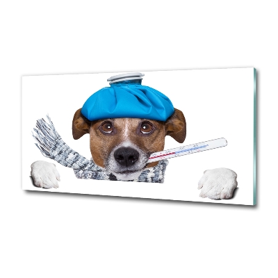 Cuadro de cristal templado moderno horizontal perro enfermo