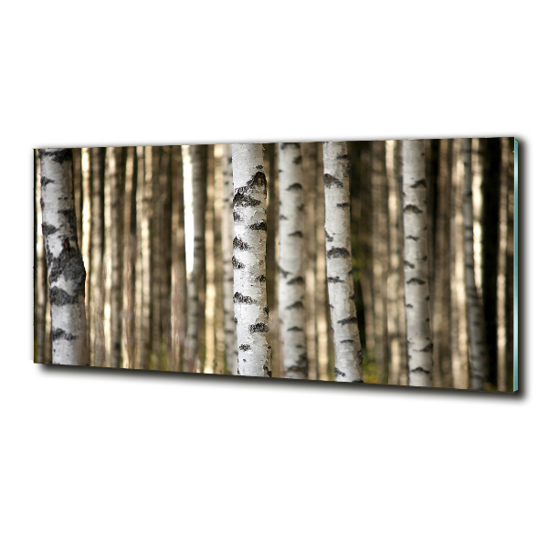 Cuadro decorativo de vidrio para salón horizontal Abedules