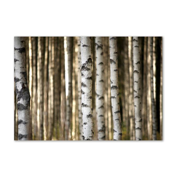 Cuadro decorativo de vidrio para salón horizontal Abedules