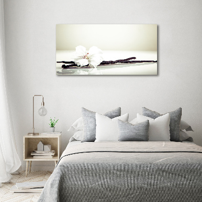 Foto en cristal de alta calidad con impresión uv horizontal Vaina de vainilla