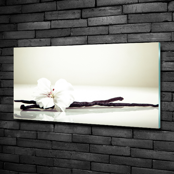 Foto en cristal de alta calidad con impresión uv horizontal Vaina de vainilla