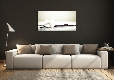 Foto en cristal de alta calidad con impresión uv horizontal Vaina de vainilla