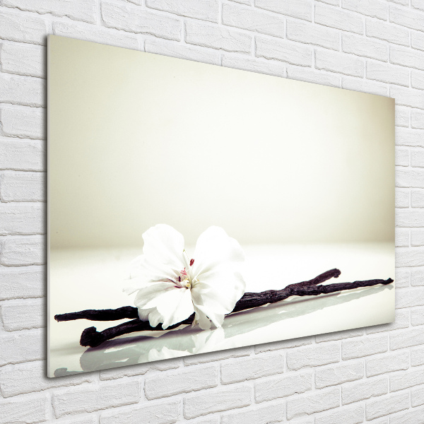 Foto en cristal de alta calidad con impresión uv horizontal Vaina de vainilla