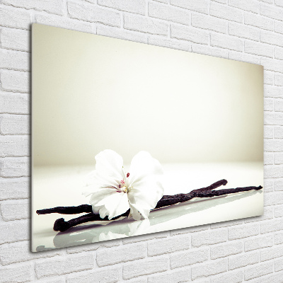 Foto en cristal de alta calidad con impresión uv horizontal Vaina de vainilla
