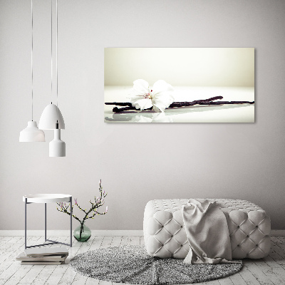 Foto en cristal de alta calidad con impresión uv horizontal Vaina de vainilla