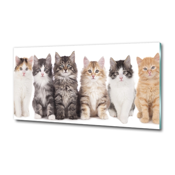 Cuadro decorativo de vidrio para salón horizontal Seis gatos