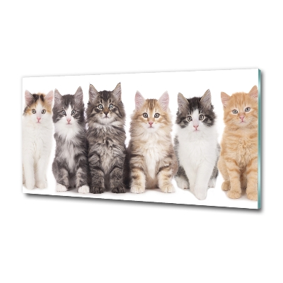 Cuadro decorativo de vidrio para salón horizontal Seis gatos