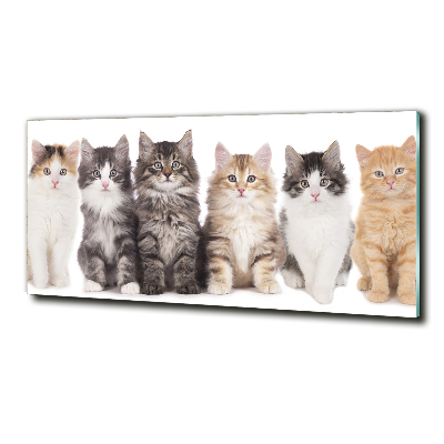 Cuadro decorativo de vidrio para salón horizontal Seis gatos