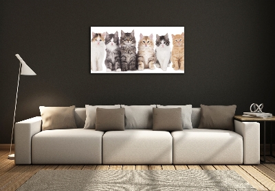 Cuadro decorativo de vidrio para salón horizontal Seis gatos