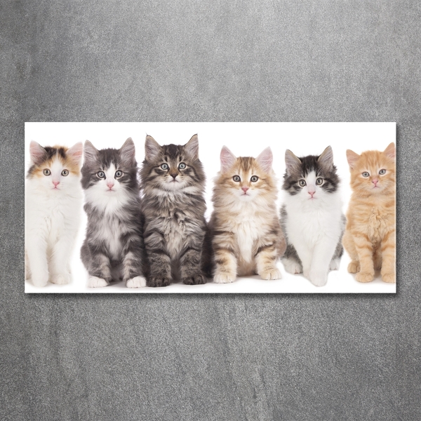 Cuadro decorativo de vidrio para salón horizontal Seis gatos