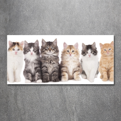 Cuadro decorativo de vidrio para salón horizontal Seis gatos