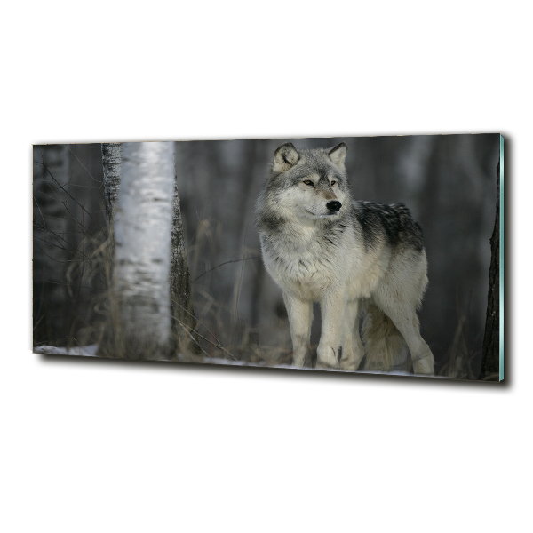 Foto en cristal de alta calidad con impresión uv horizontal Lobo gris
