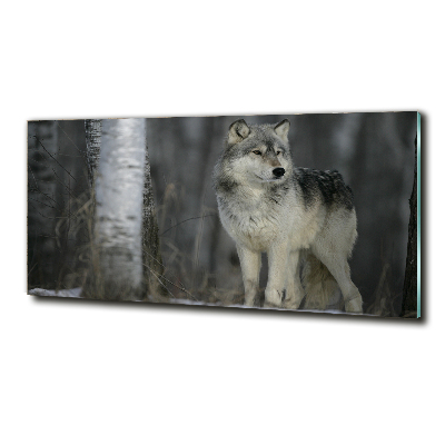 Foto en cristal de alta calidad con impresión uv horizontal Lobo gris