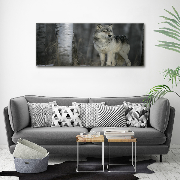 Foto en cristal de alta calidad con impresión uv horizontal Lobo gris