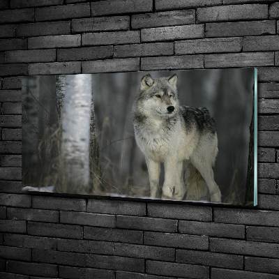 Foto en cristal de alta calidad con impresión uv horizontal Lobo gris