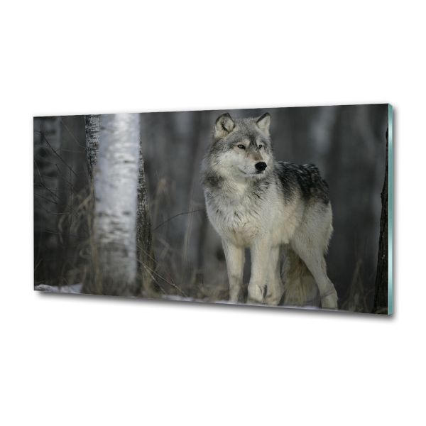 Foto en cristal de alta calidad con impresión uv horizontal Lobo gris