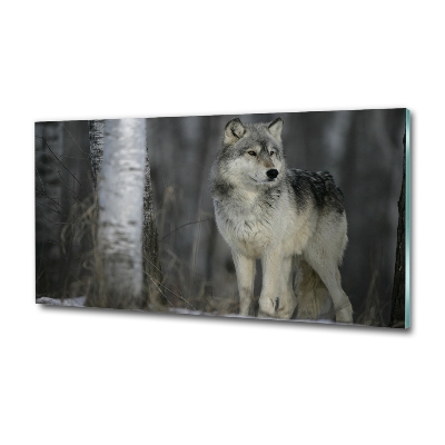 Foto en cristal de alta calidad con impresión uv horizontal Lobo gris