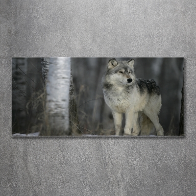 Foto en cristal de alta calidad con impresión uv horizontal Lobo gris