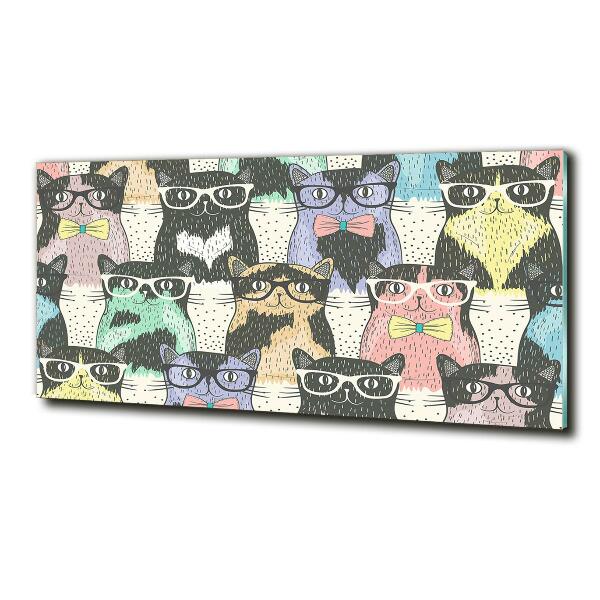 Cuadro decorativo de vidrio para salón horizontal Gatos con gafas