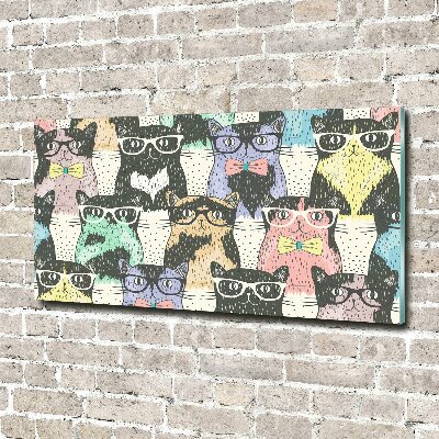 Cuadro decorativo de vidrio para salón horizontal Gatos con gafas
